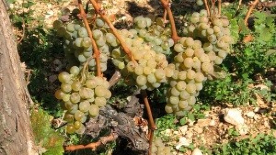 Kako biti konkurentan s najskupljom zemljom?