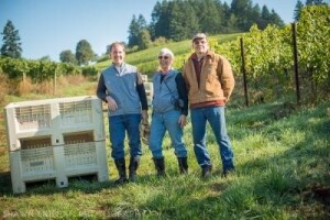 Svaki pravi vinar mora biti i vinogradar