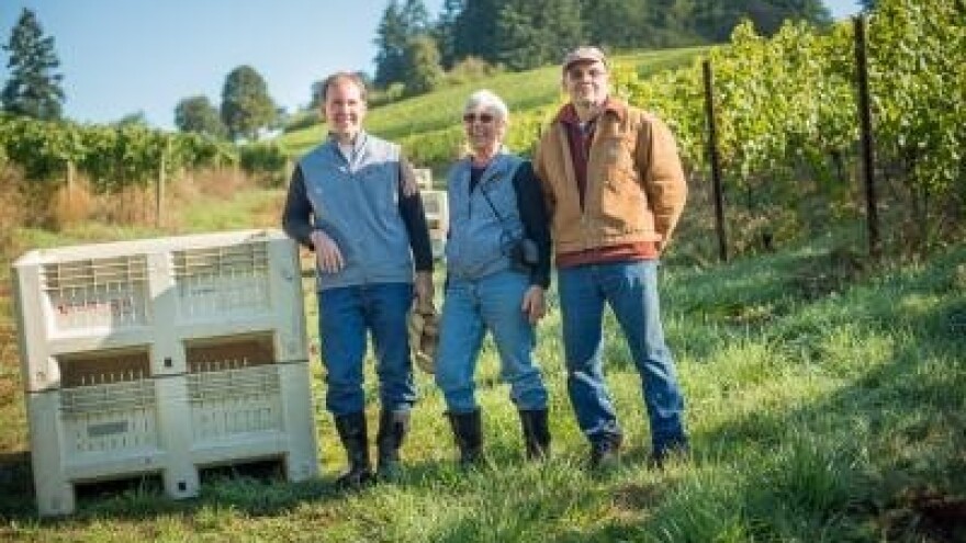 Svaki pravi vinar mora biti i vinogradar