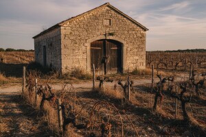 "Vinogradar" pred likvidacijom
