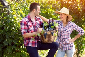 Upis u Vinogradarski registar