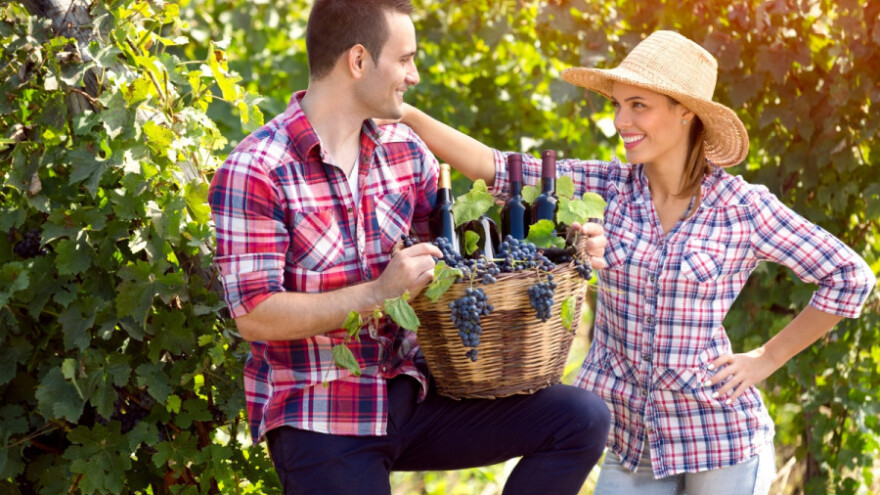 Upis u Vinogradarski registar