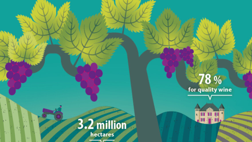 30% EU vinograda se nalazi u Španjolskoj