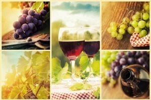 17. Vincro - Tradicionalna vinska fešta