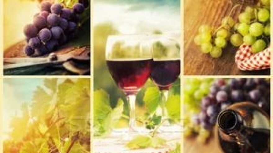 17. Vincro - Tradicionalna vinska fešta