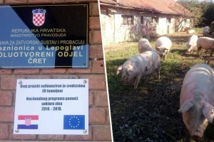 Unaprjeđuje se poljoprivredna proizvodnja u hrvatskom zatvorskom sustavu