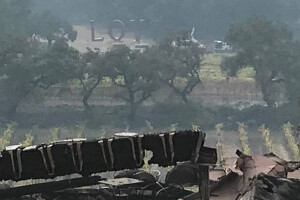 Izgorjeli povijesni vinogradi, poginulo 15 ljudi