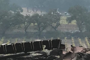 Izgoreli drevni vinogradi, poginulo 15 ljudi