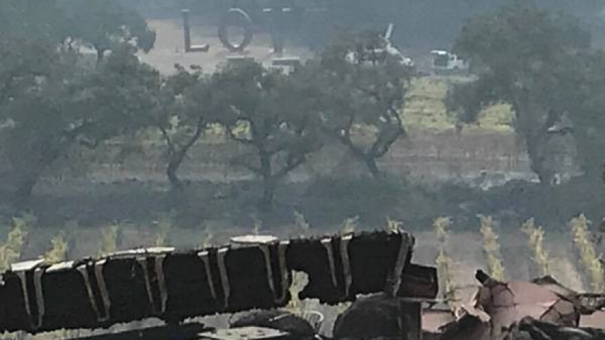 Izgoreli drevni vinogradi, poginulo 15 ljudi