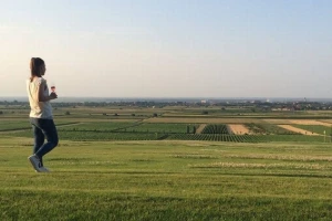 Ocjenjivanje vina Podunavlja i Slavonije