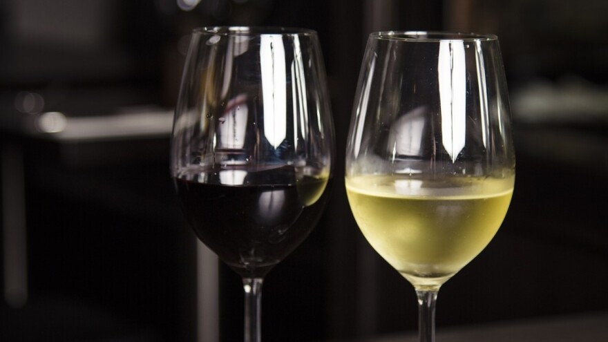 Prvi Festival vina, prateće opreme i gastronomije VinoSalis 2018. u Tuzli