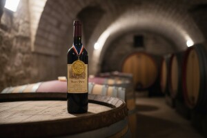 Vinovita 2010: Zlato Plavcu Pitve