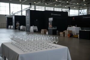 Vinovita bez najvećih domaćih vinara