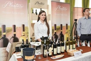 Vinozeus - jedinstveni salon vina i gastronomije