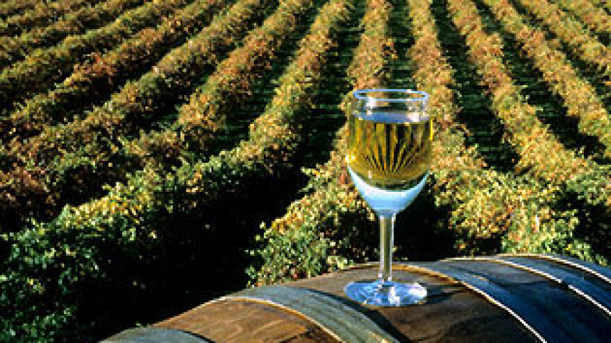 Baranju i Vojvodinu povezat će vino i kulen