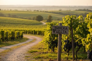 Vinska cesta "Frankovka" za razvoj eno-gastroturizma