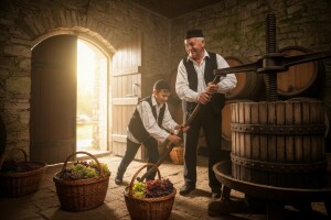 Vinska fešta i folkloraši u Dražu