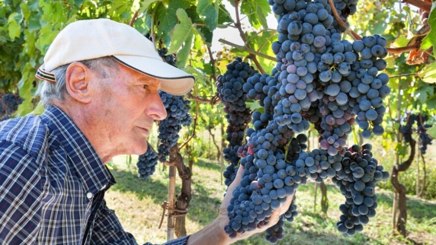 Uskoro istječe rok za mjere iz Vinske omotnice!