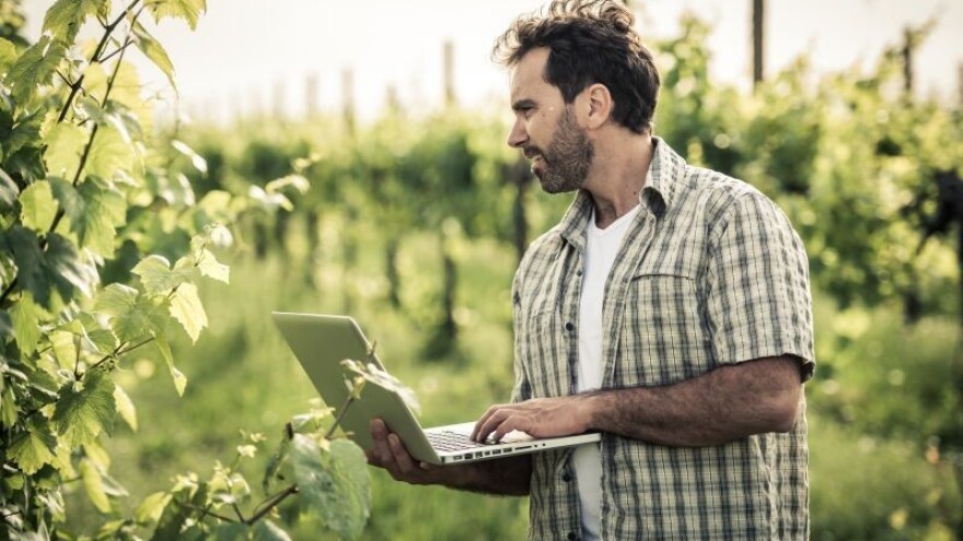 Koliko je iskorištena Vinska omotnica?