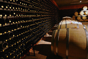 Savjetovanje o investiranju u vinarije i marketingu vina