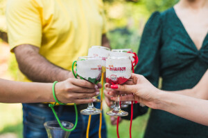 Ne propustite ovaj vikend 16. Vinski bor maraton
