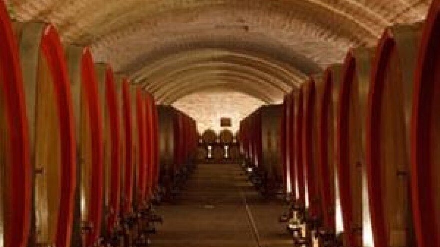 Dan otvorenih vrata peljeških podruma