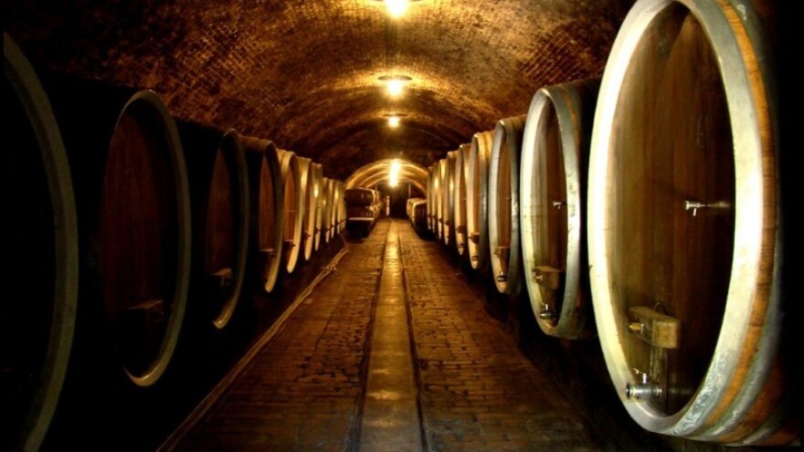 Proslava berbe grožđa u Iloku!