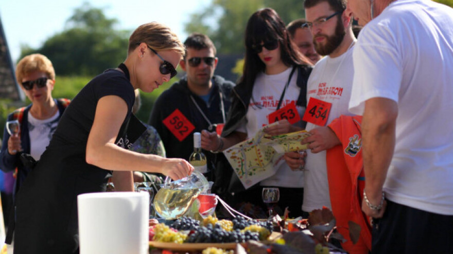 Vinski maraton u Zmajevcu!