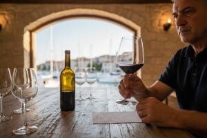 Vinsko - vinarska manifestacija VINCRO