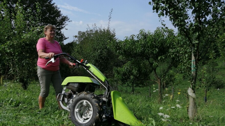 Riješili problem mehanizacije i kreću naprijed, uz uzgoj svinja i buča razvijat će i vinograd