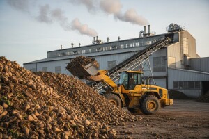 Viro tvornica šećera povećala dobit za 46,8 posto