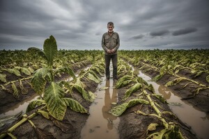 Virovitica: problemi s duhanom