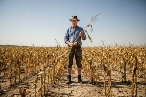 Više od 100 miliona evra štete od suše