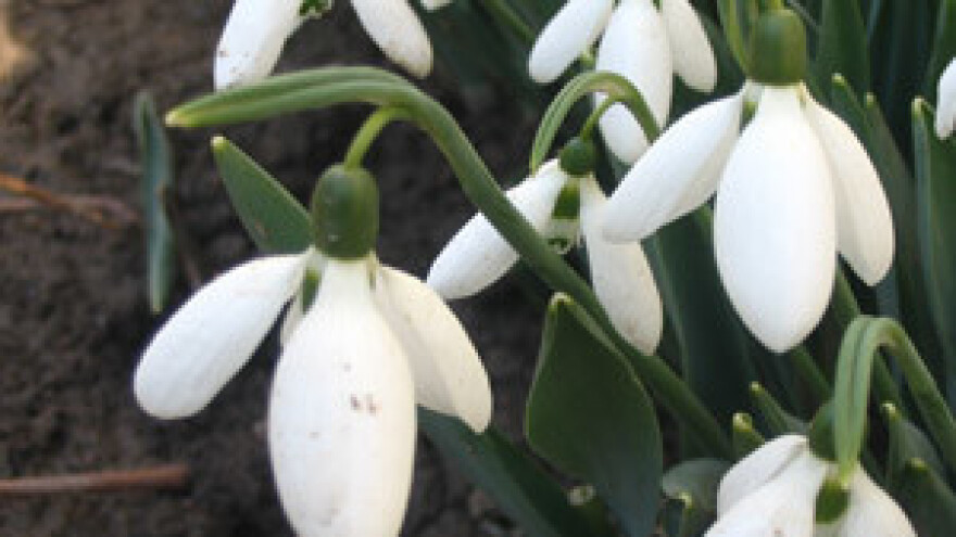 Kratkotrajne edukacije za udruženja poljoprivrednih proizvođača