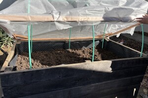 Kako produžiti baštovansku sezonu postavljanjem jednostavnog plastenika