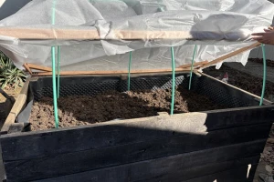 Kako produžiti vrtlarsku sezonu postavljanjem jednostavnog plastenika