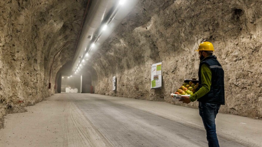 Čuvaju jabuke u brdskim tunelima - uštede više od 30 odsto struje