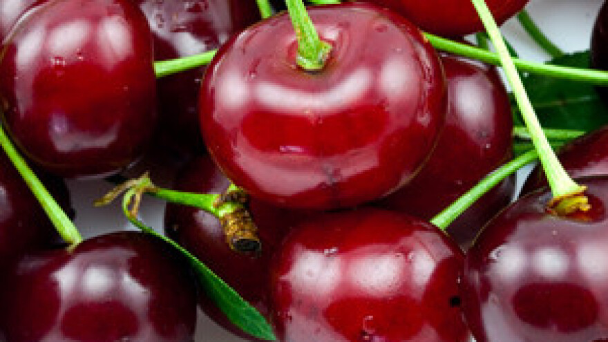 Dobivanje sredstava iz EU fondova - mukotrpno, zahtjevno, no na kraju se isplati