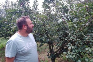 Na plantaži LiIa uvjereni kako će kombinacijom nasada višanja i lijeske uspješno opstati