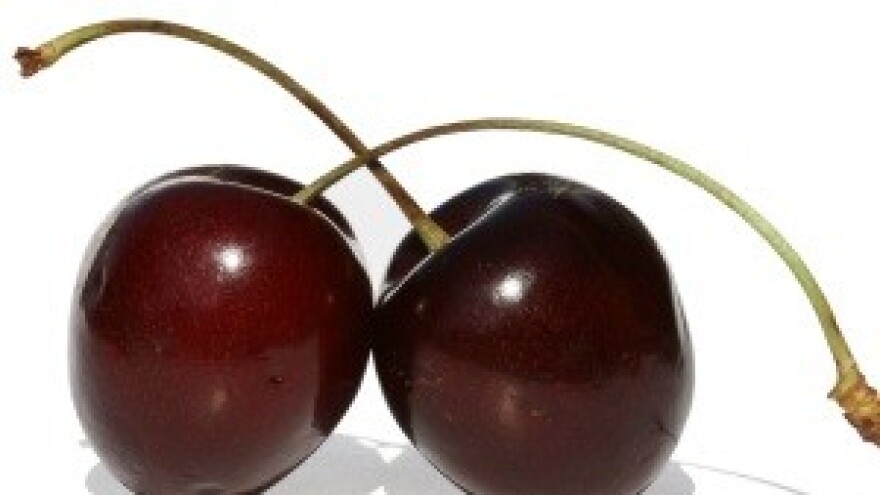 Ravnokotarska maraška postaje jedinstvena u Europskoj uniji