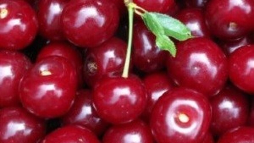 Proizvođači maraške ogorčeni