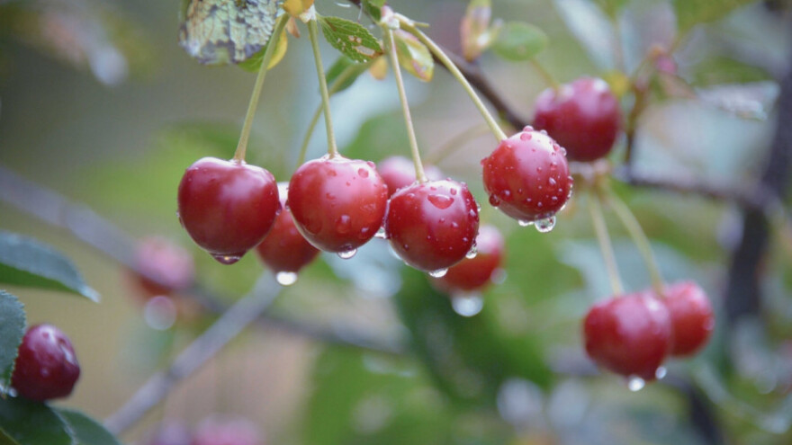 Toplo uz moguće pljuskove