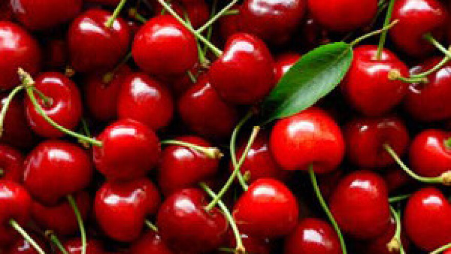 Kozičavost višnje i trešnje