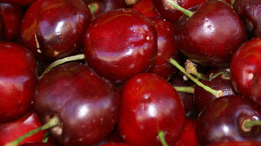 Veliki gubici za proizvođače, ali i za prerađivače