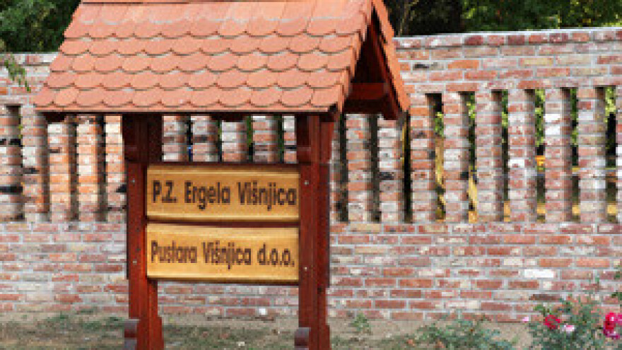 Turisti hrle u oživljenu oazu izvorne slavonske pustare