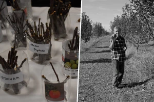 Tradicionalna razmjena starih sorti u Cerniku u spomen na Vjeku Hudolina