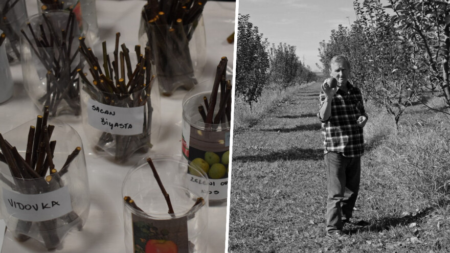 Tradicionalna razmjena starih sorti u Cerniku u spomen na Vjeku Hudolina