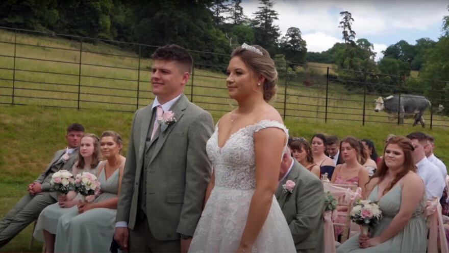 Krava im skoro upropastila najljepši dan u životu?