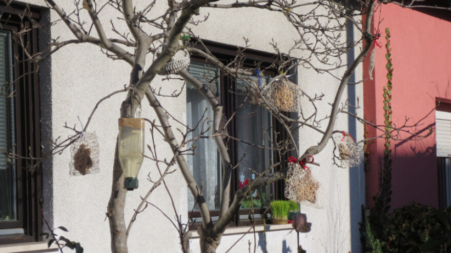Pomozimo pticama da prežive zimu