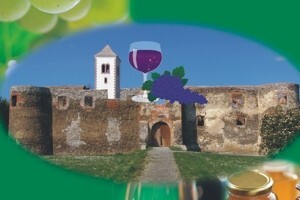 Kako je nastao sajam Vino-kap?